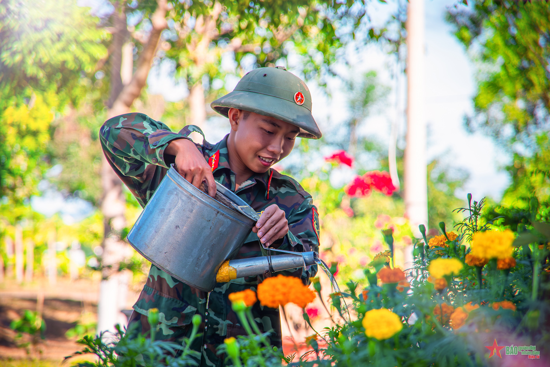 Chăm hoa đón Tết